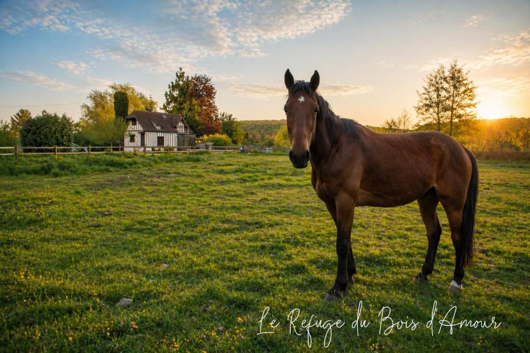 Photo of Others in Arnieres-sur-Iton
