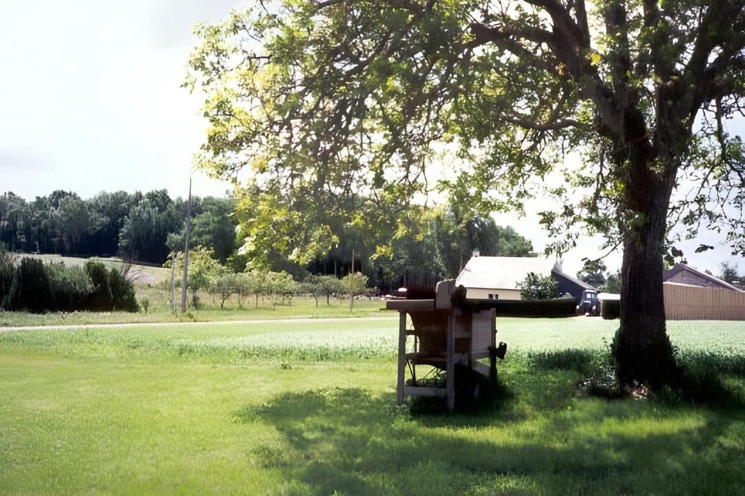 Photo of Others in Allonnes