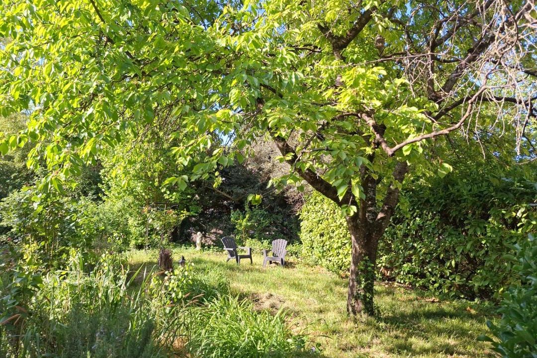 Photo of Outdoor in Fa