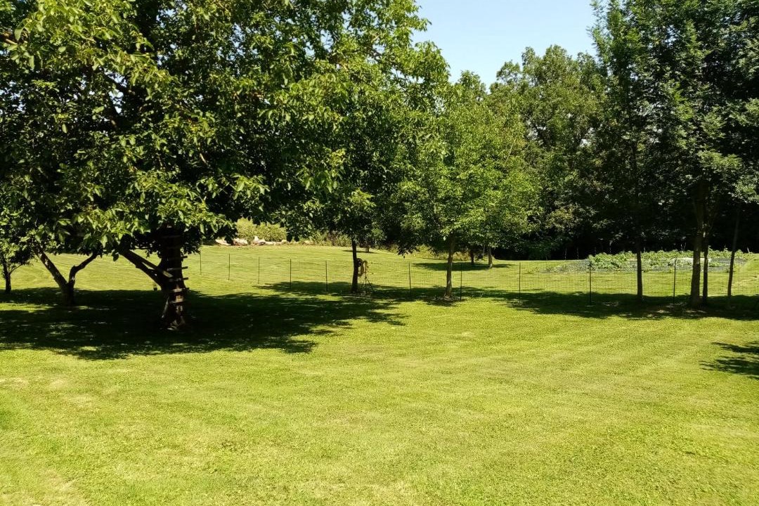 Photo of Outdoor in Lilhac