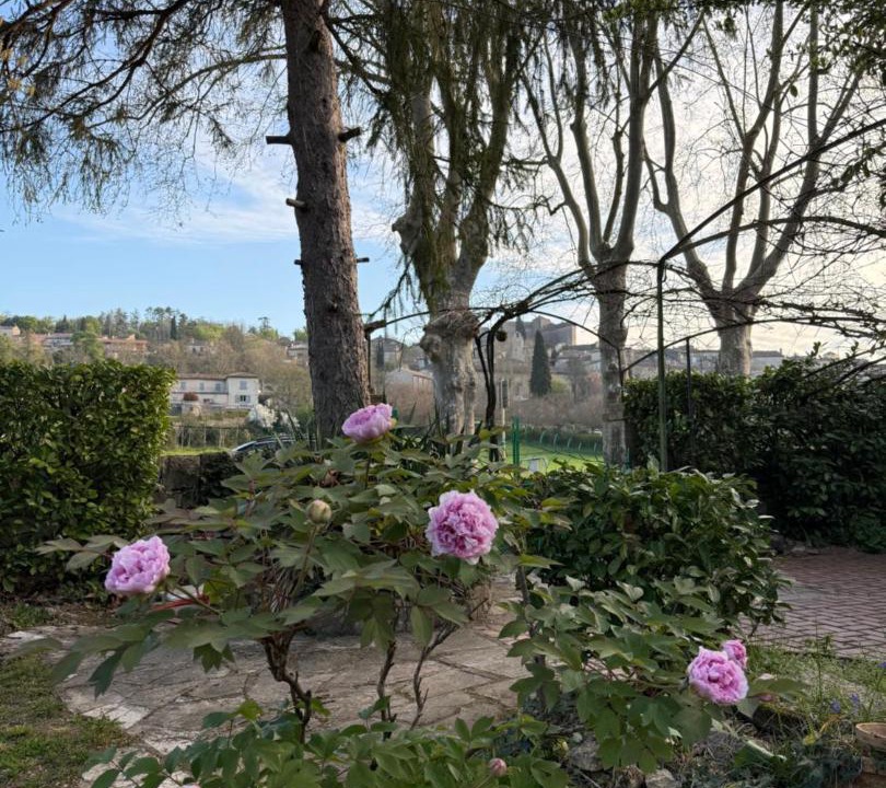 Photo of Others in Bruniquel