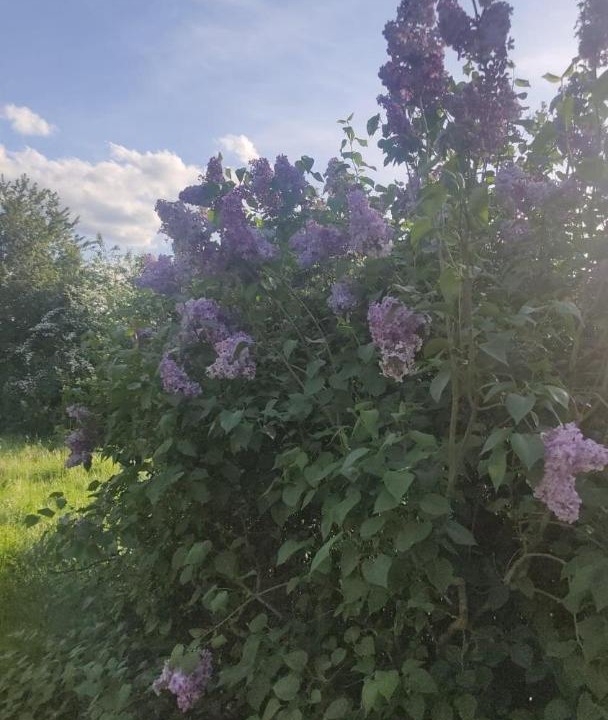 Photo of Outdoor in Saint-Varent