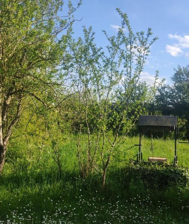 Photo of Outdoor in Saint-Varent