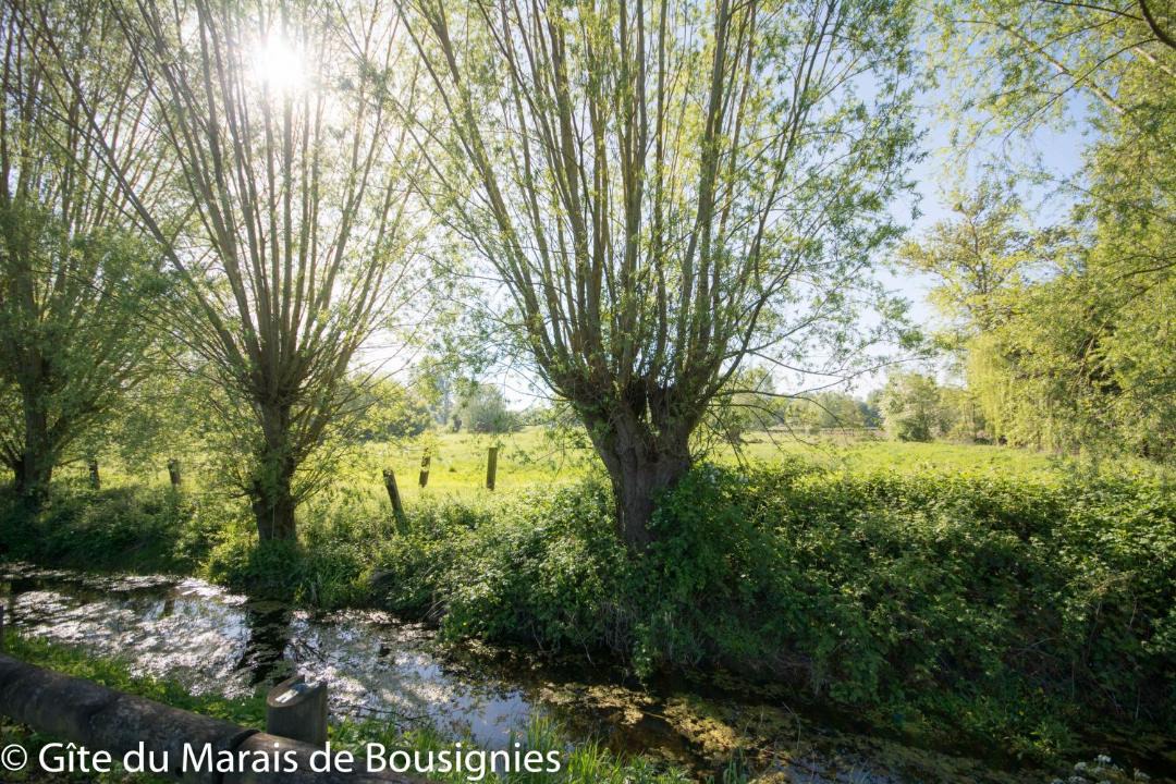 Photo of Others in Bousignies