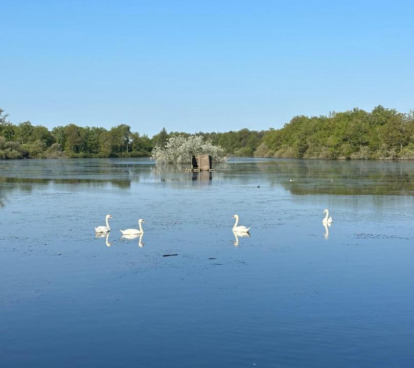 Photo of Others in Saint-Maurice-Etusson