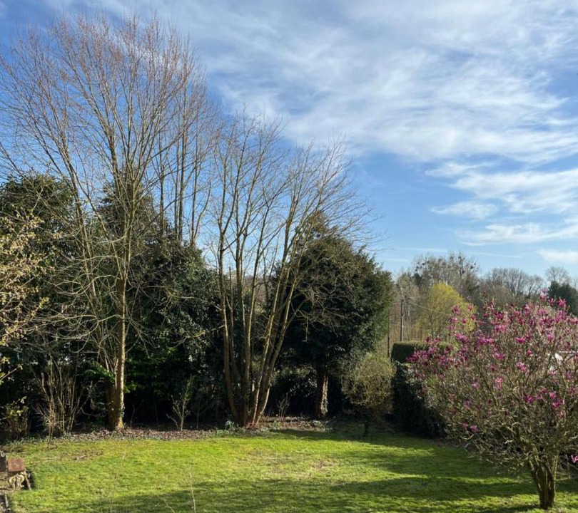 Photo of Outdoor in Rollancourt