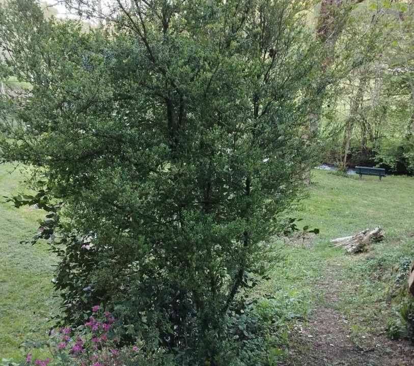 Photo of Others in Saint-Bonnet-Avalouze