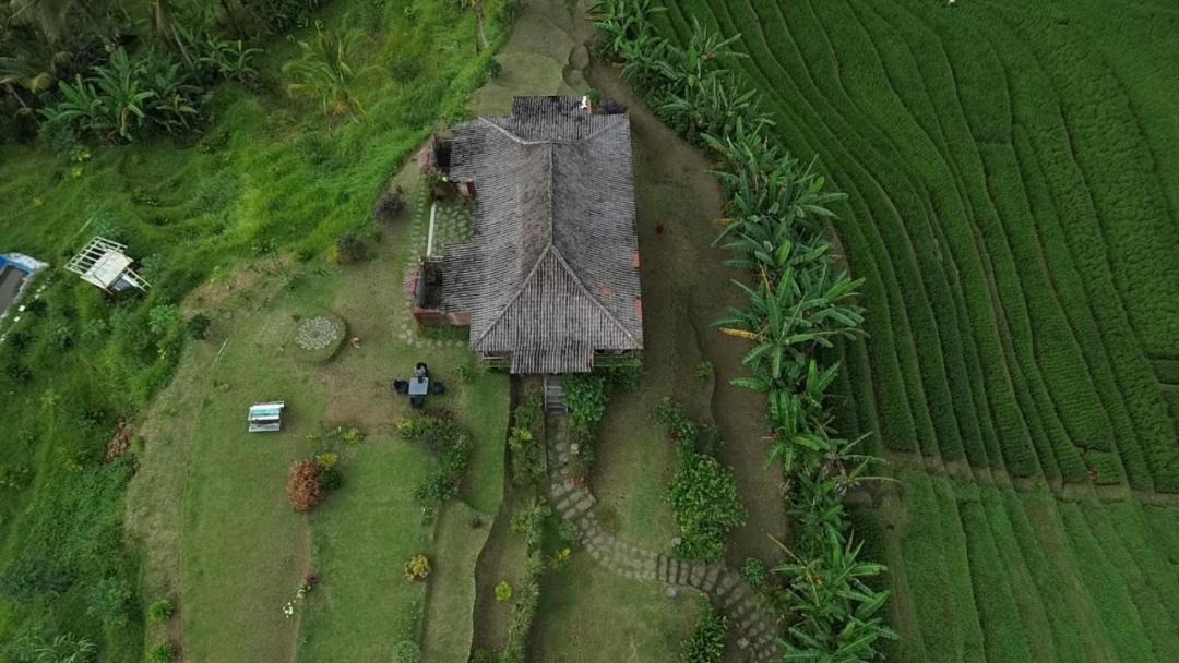 Photo of Others in Wongaya Gede