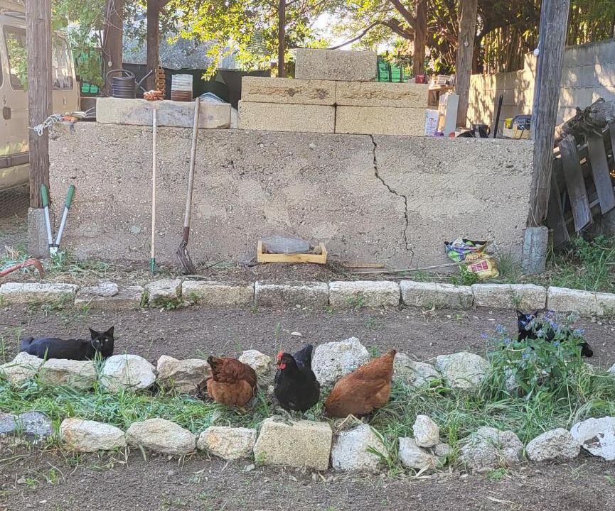 Photo of Others in Montagnac
