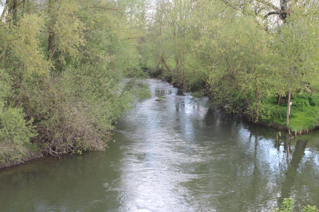 Photo of Others in Erloy