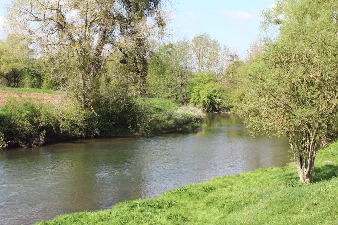 Photo of Others in Erloy