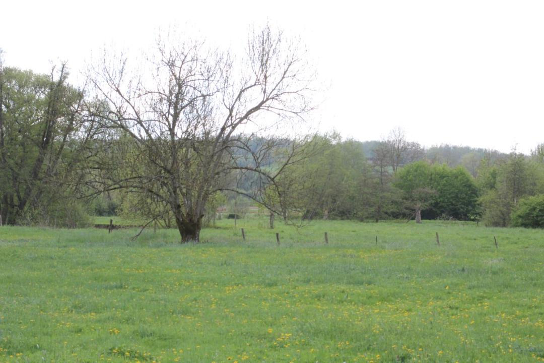Photo of Others in Erloy