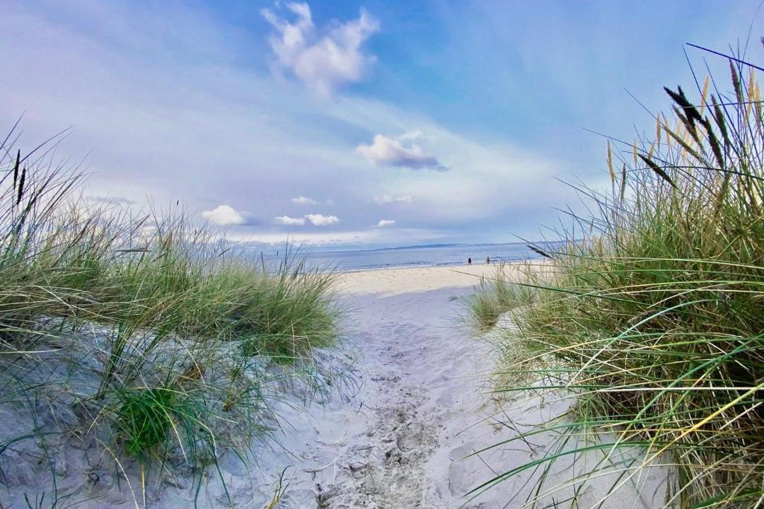Photo of Others in Hornbaek