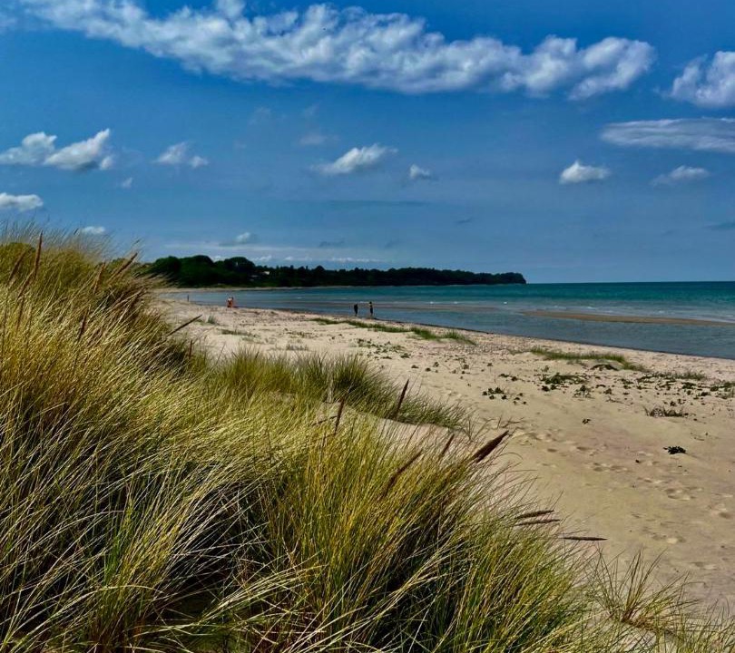 Photo of Others in Hornbaek