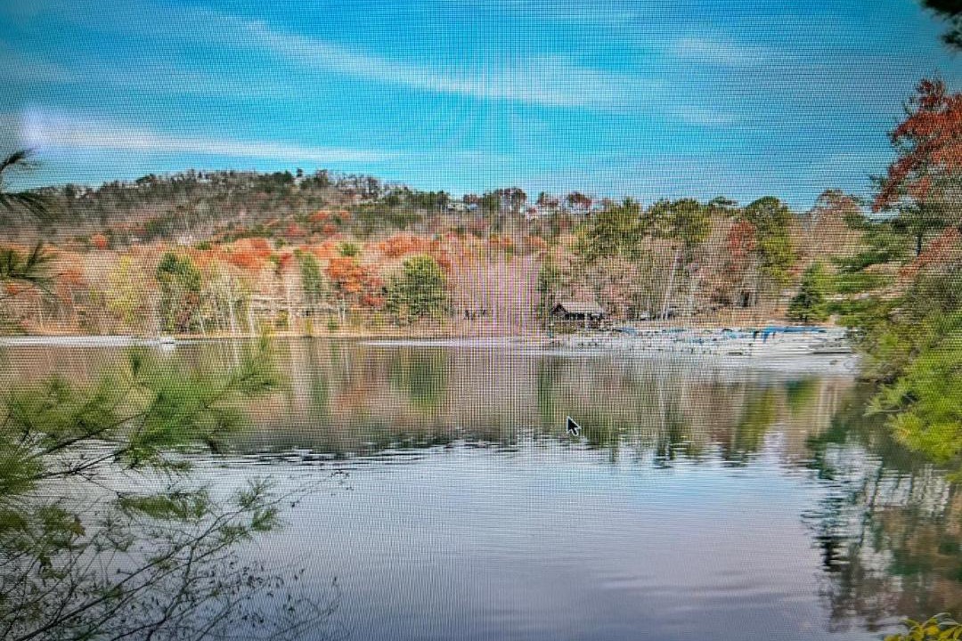 Photo of Others in Big Canoe