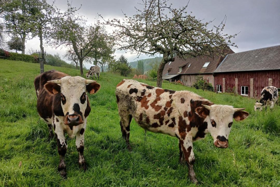 Photo of Others in Courtonne-la-Meurdrac