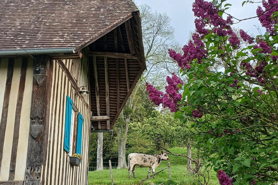 Photo of Others in Courtonne-la-Meurdrac