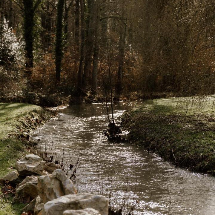 Photo of Others in Montigny-le-Chartif