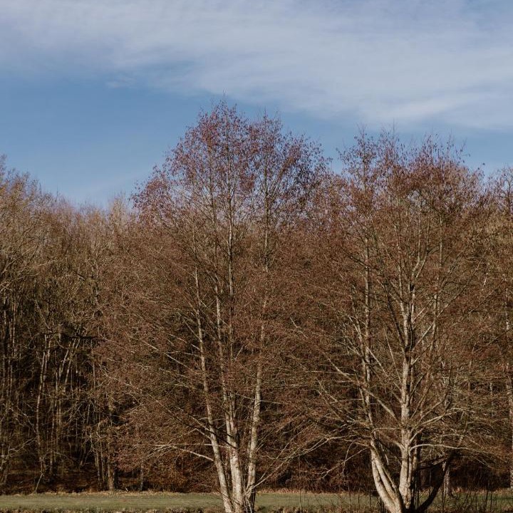 Photo of Others in Montigny-le-Chartif