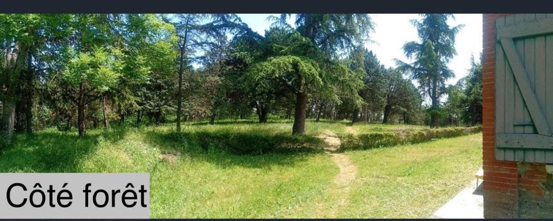Photo of Others in Monestrol