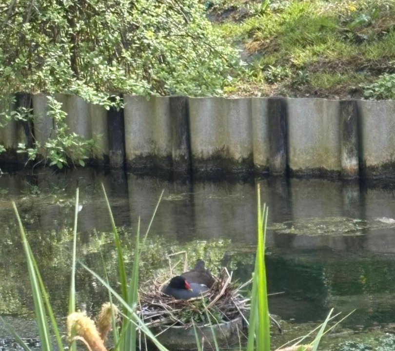 Photo of Others in Hermelinghen