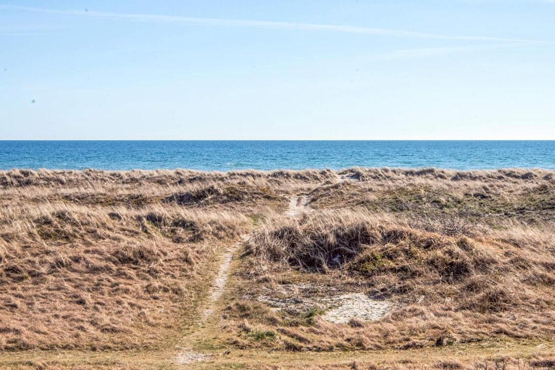 Photo of Others in Grena Strand