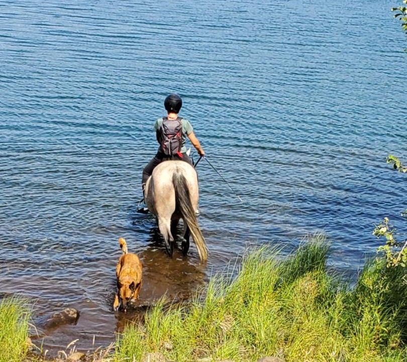 Photo of Others in Saint-Jean-Lachalm