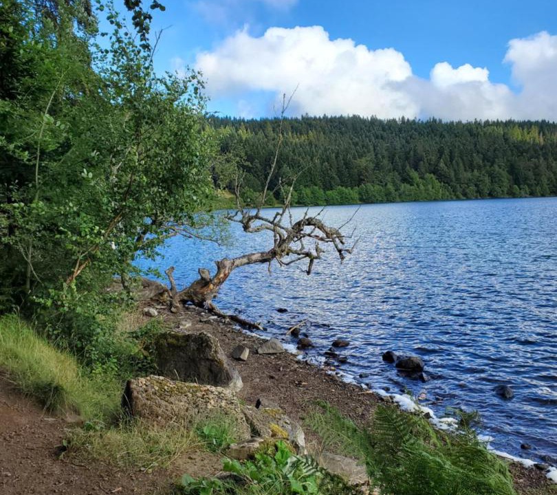 Photo of Others in Saint-Jean-Lachalm