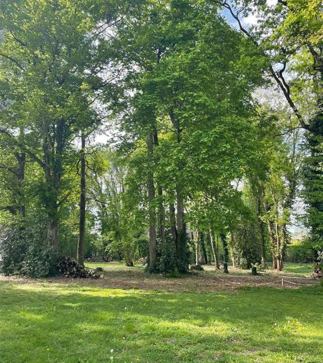 Photo of Others in La Batie-Montgascon