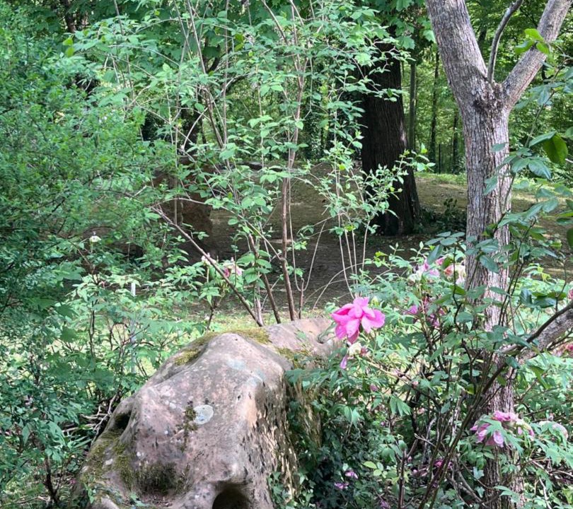 Photo of Others in Samois-sur-Seine
