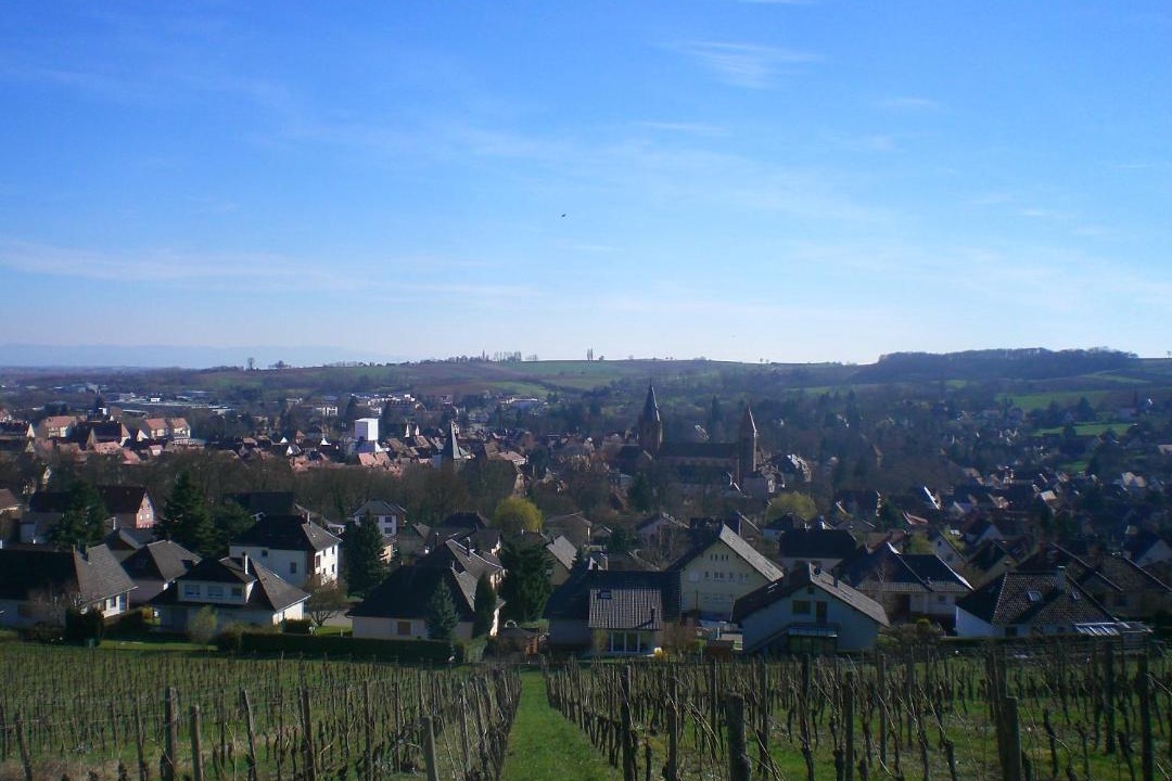 Photo of Buildings in Wissembourg