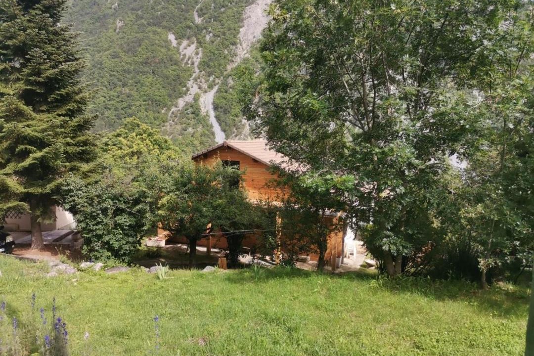 Photo of Others in Belvedere