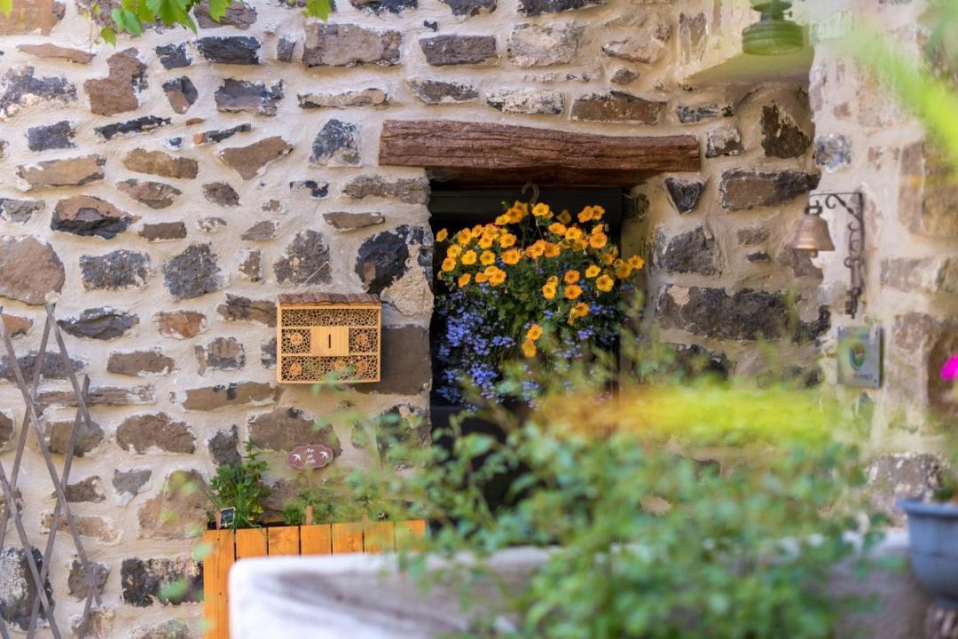Photo of Others in Saint-Pons