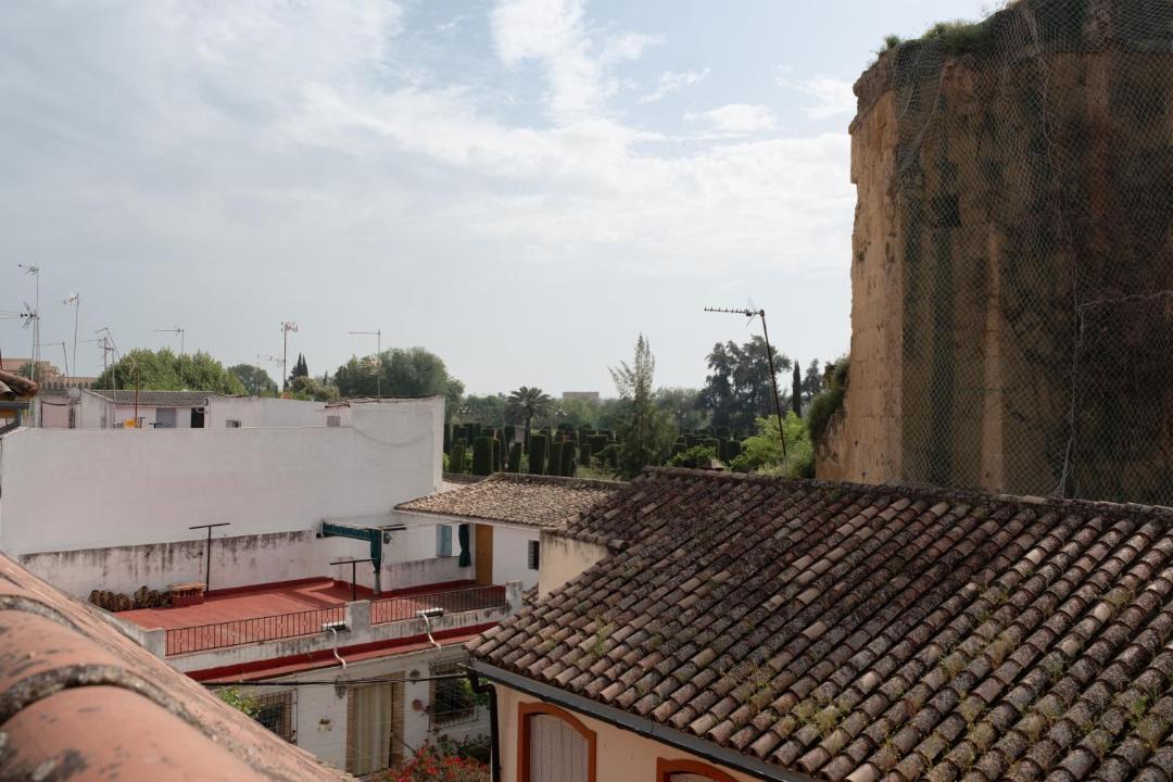 Photo of Others in San Basilio