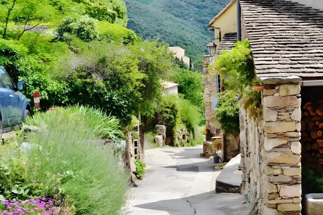 Photo of Others in Saint-Martin-de-l'Arcon