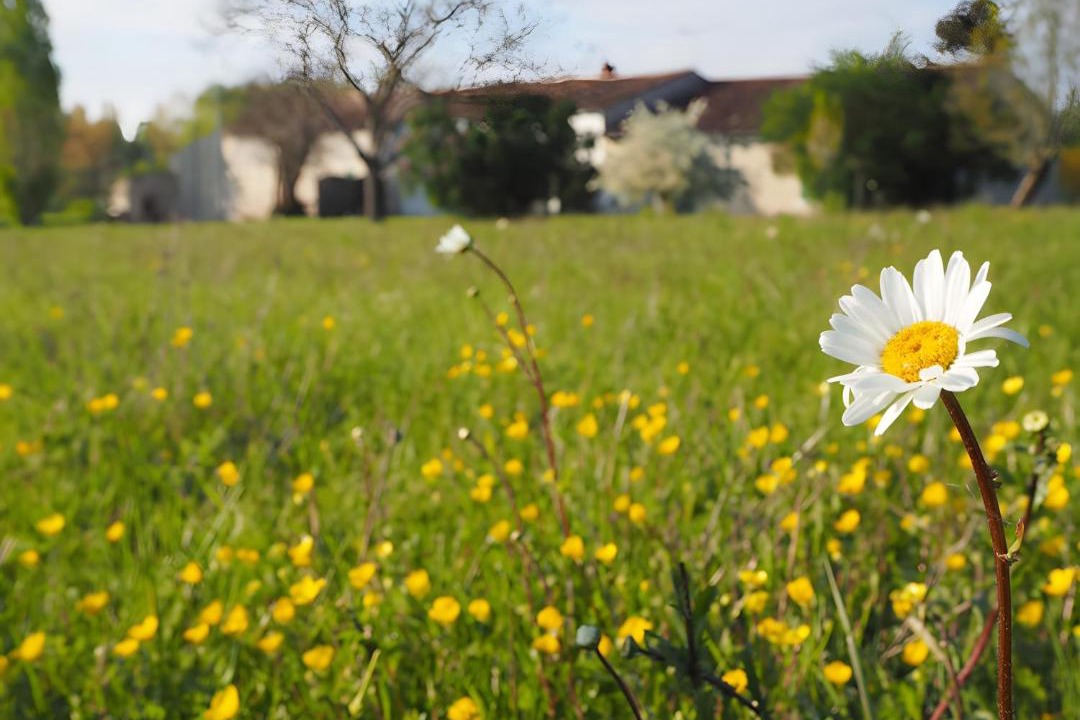Photo of Others in Saint-Hilaire-la-Palud