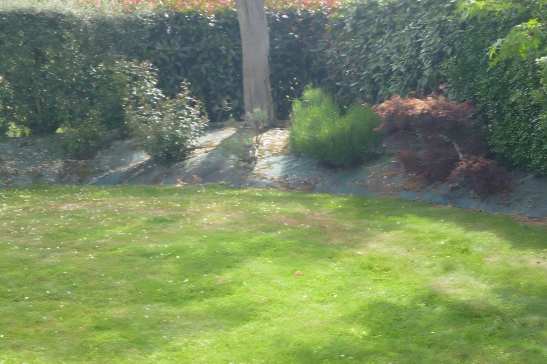 Photo of Others in Betton
