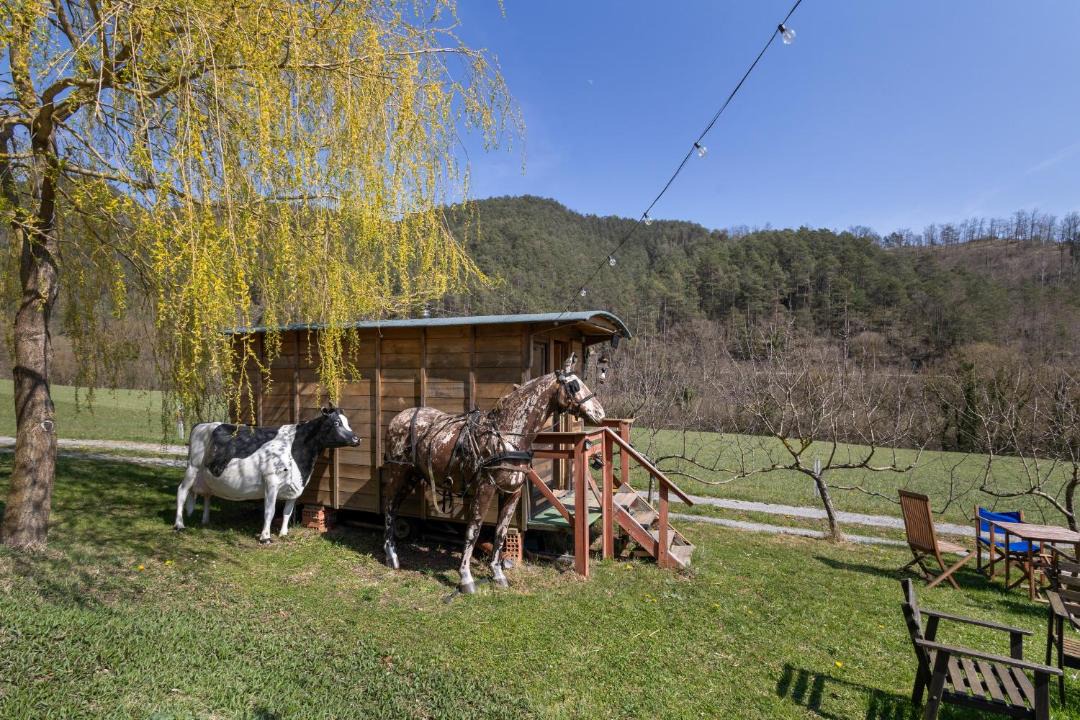 Photo of Others in Sant Joan de Les Abadesses