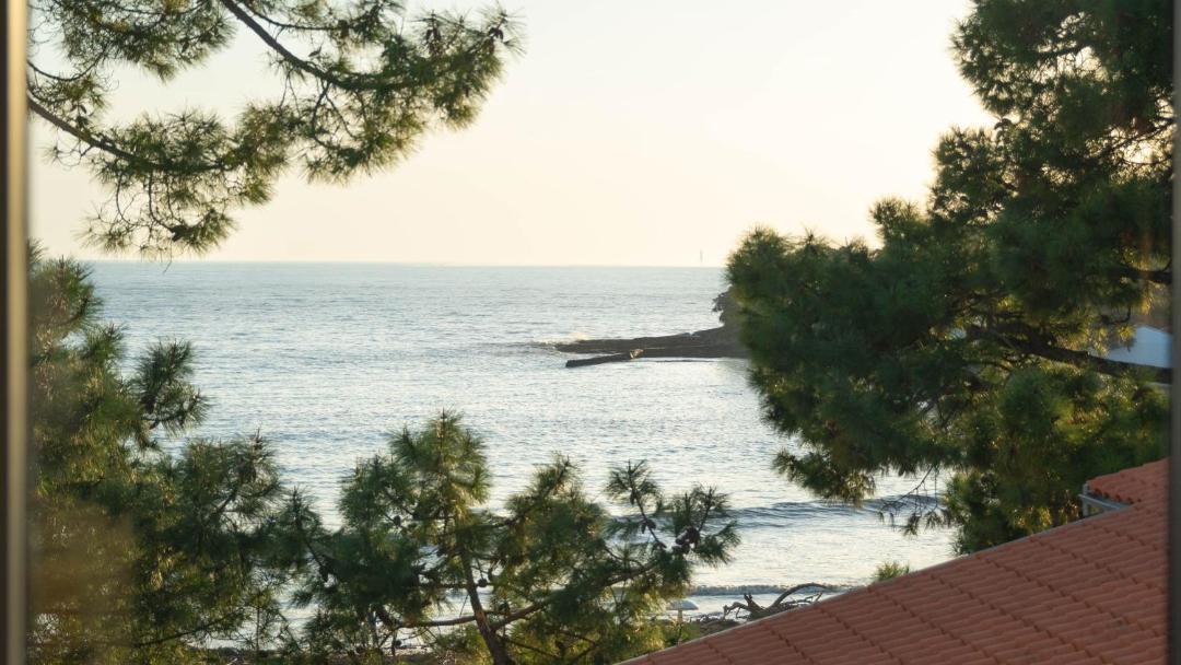Photo of Others in Saint-Palais-sur-Mer