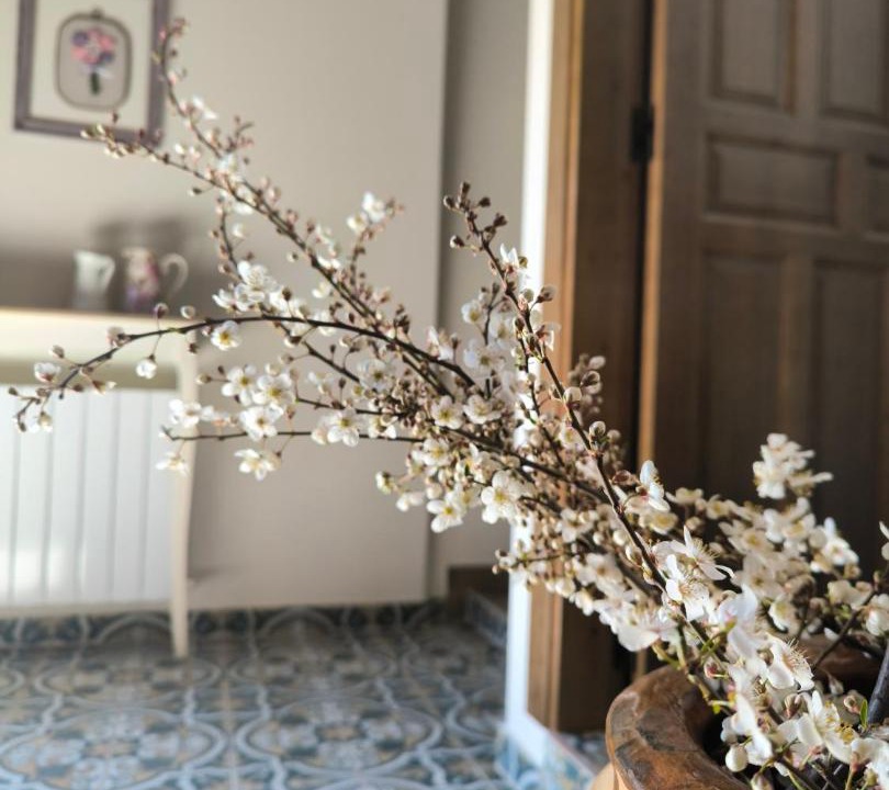 Photo of Others in Villoslada de Cameros