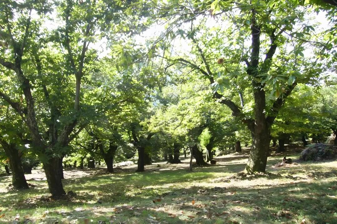 Photo of Outdoor in Vesseaux