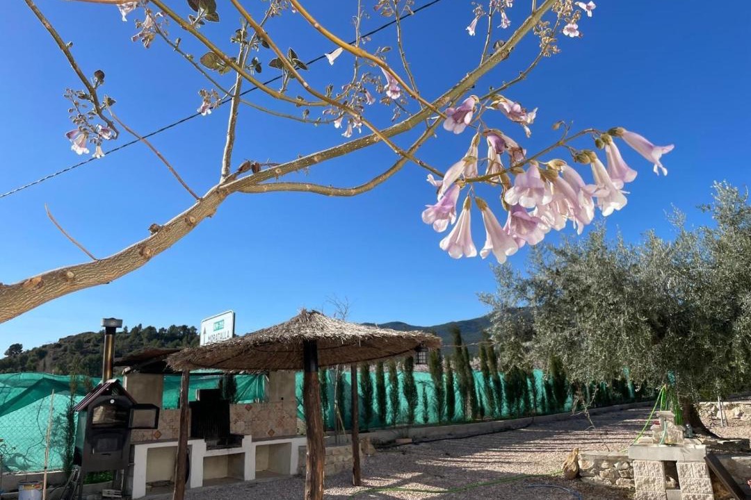 Photo of Others in Moratalla