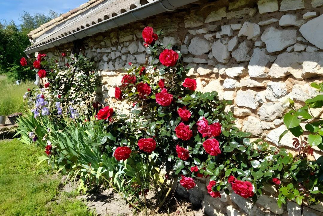 Photo of Others in La Roche-sur-Grane