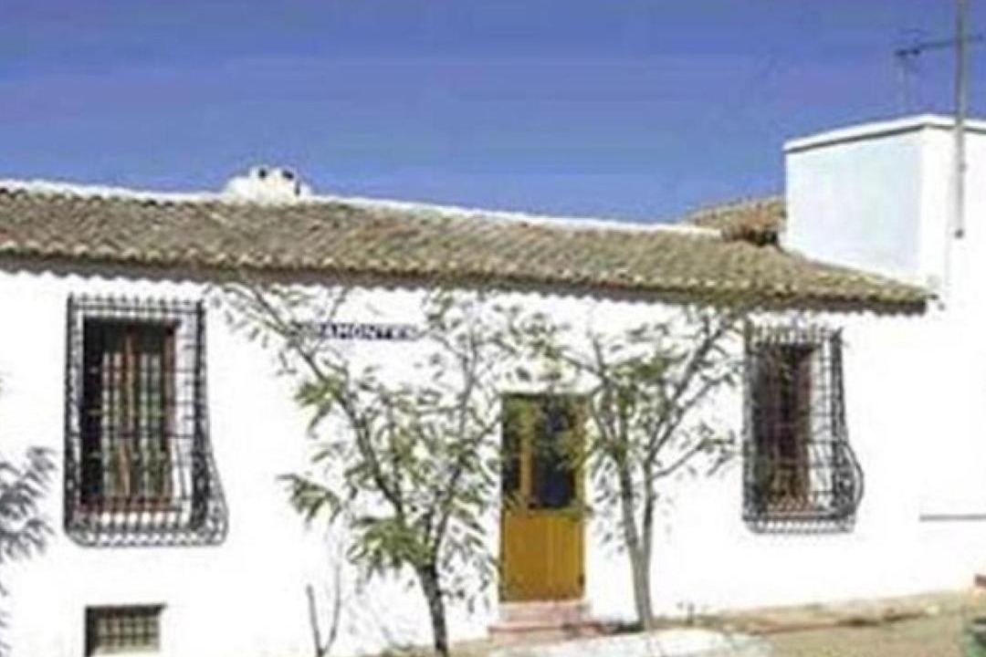 Photo of Others in Villena