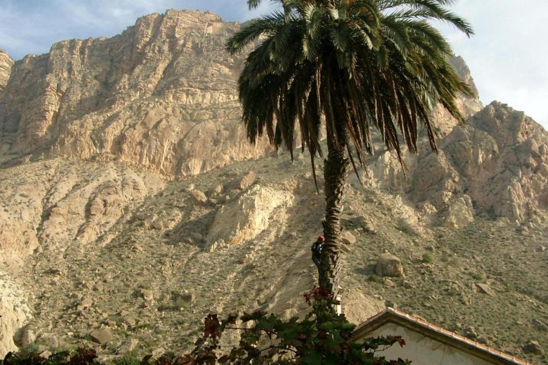 Photo of Others in Huerta de Arriba