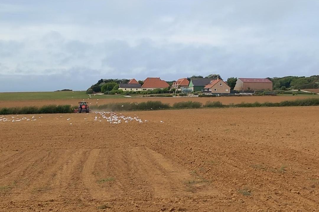 Photo of Others in Audinghen