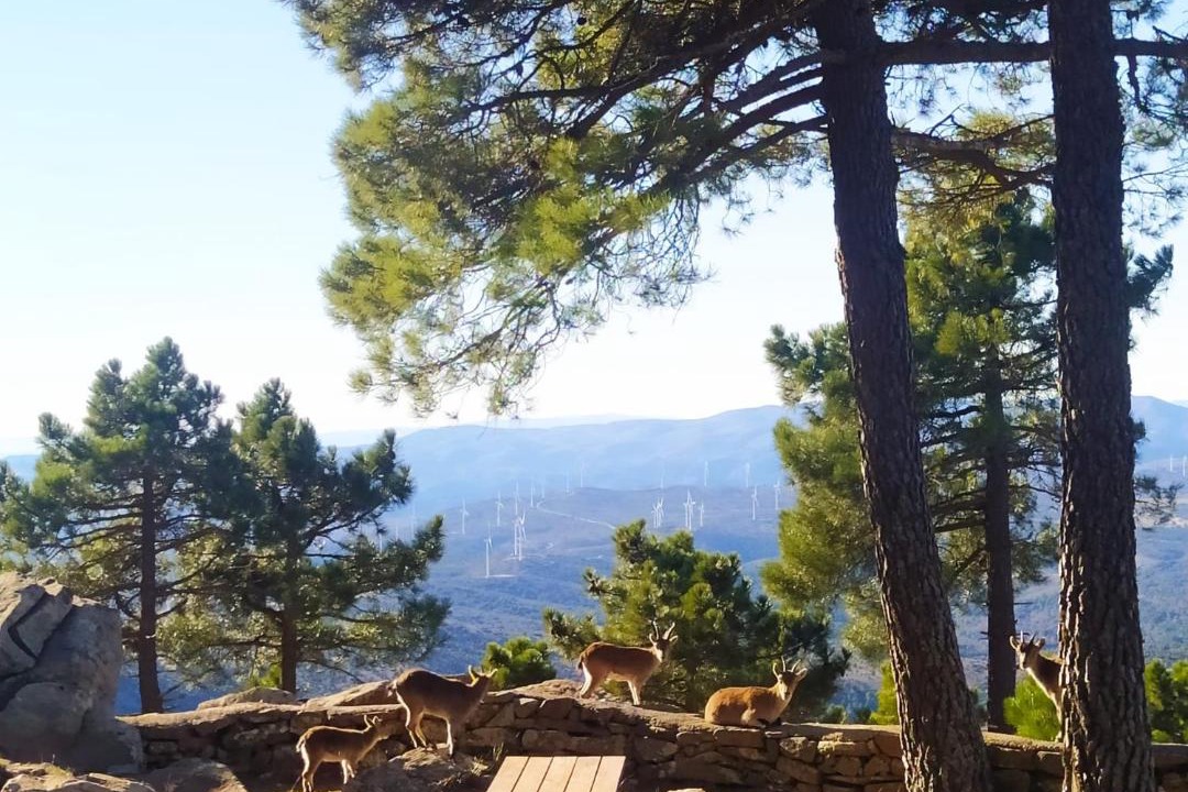 Photo of Others in Pina de Montalgrao