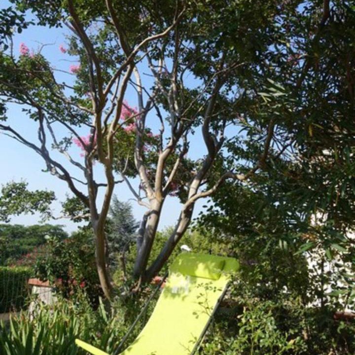 Photo of Others in Ceret
