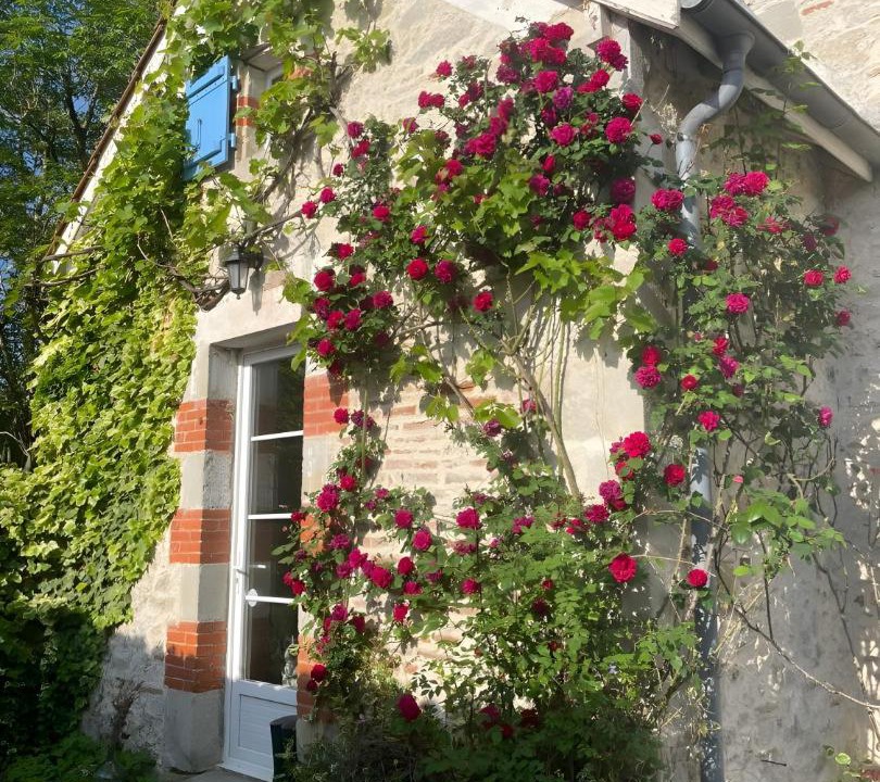 Photo of Others in Penne-d'Agenais