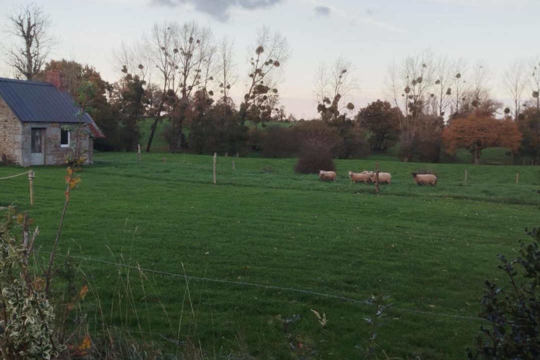 Photo of Others in Saint-Aubin-des-Bois